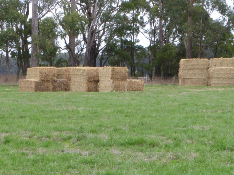 199 Jancourt-Forrest Road, Carpendeit VIC 3260