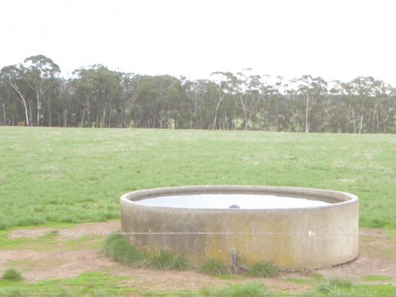 199 Jancourt-Forrest Road, Carpendeit VIC 3260