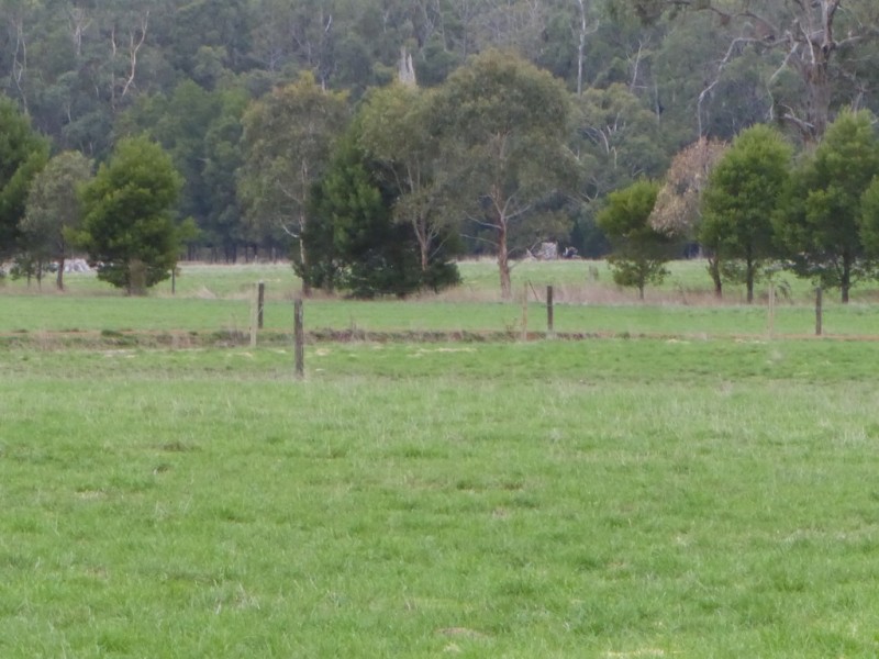 199 Jancourt-Forrest Road, Carpendeit VIC 3260