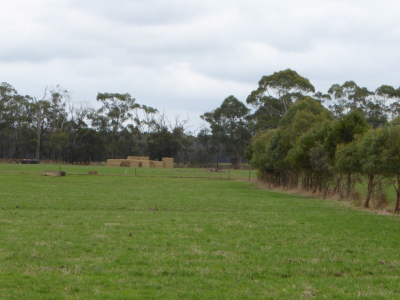 199 Jancourt-Forrest Road, Carpendeit VIC 3260