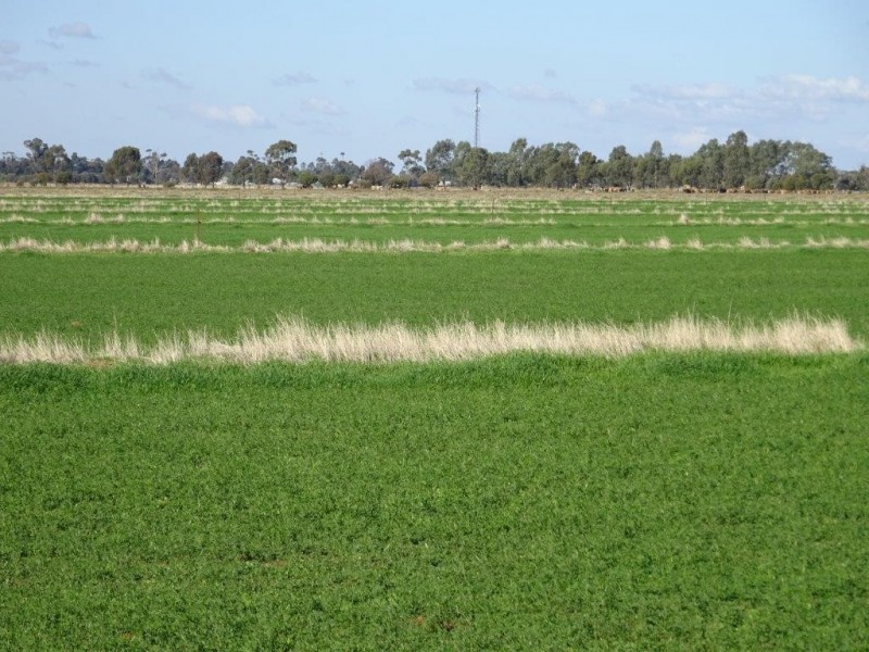 388 JOHNSON ROAD, Lockington VIC 3563