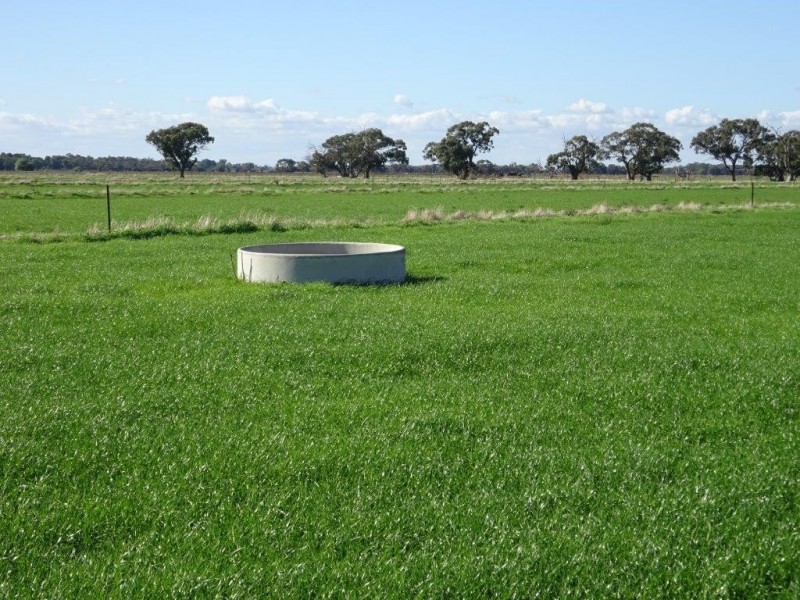 388 JOHNSON ROAD, Lockington VIC 3563