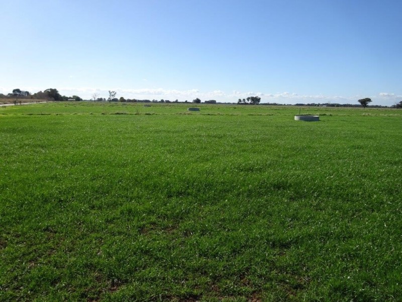 388 JOHNSON ROAD, Lockington VIC 3563