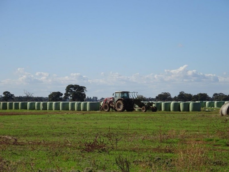 388 JOHNSON ROAD, Lockington VIC 3563