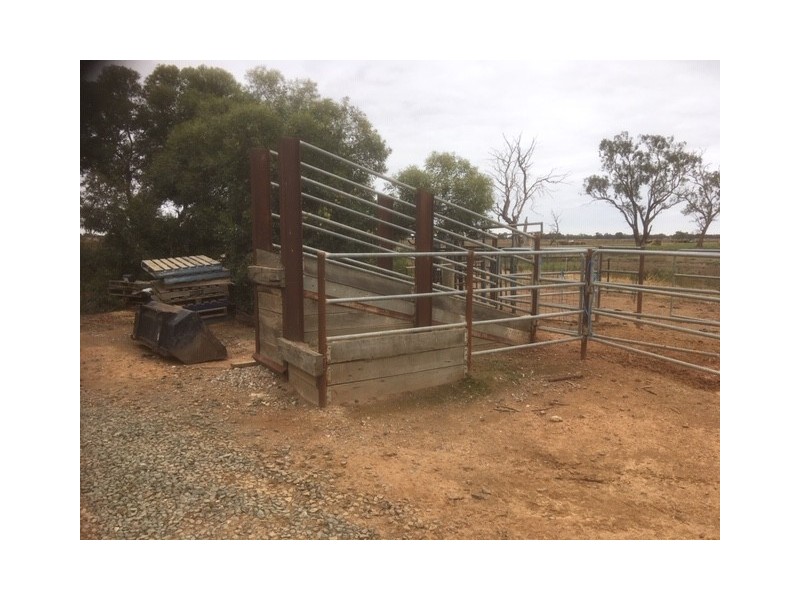 388 JOHNSON ROAD, Lockington VIC 3563