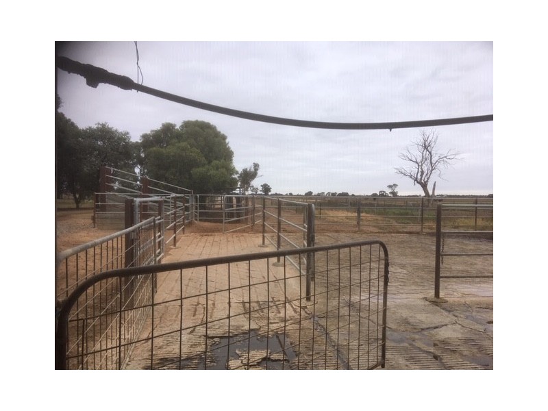 388 JOHNSON ROAD, Lockington VIC 3563