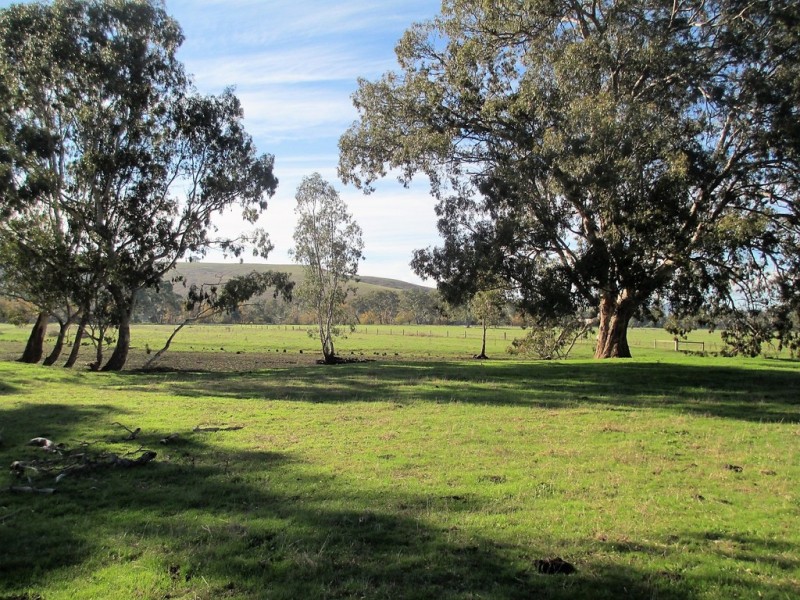 188 Whanregarwen Road, Alexandra VIC 3714