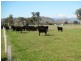 188 Whanregarwen Road, Alexandra VIC 3714