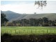 188 Whanregarwen Road, Alexandra VIC 3714