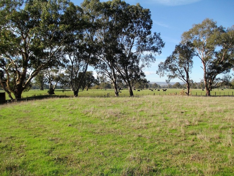 188 Whanregarwen Road, Alexandra VIC 3714