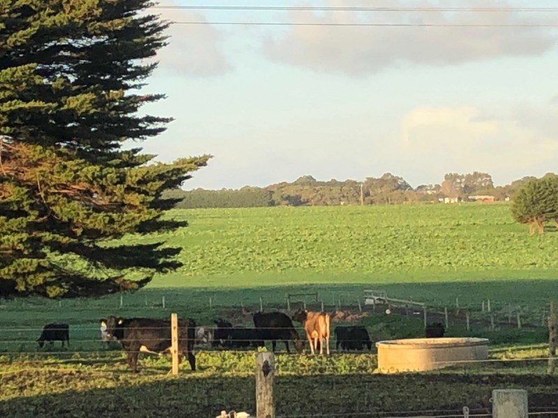 434 CONNS LANE, YANGERY, Warrnambool VIC 3280