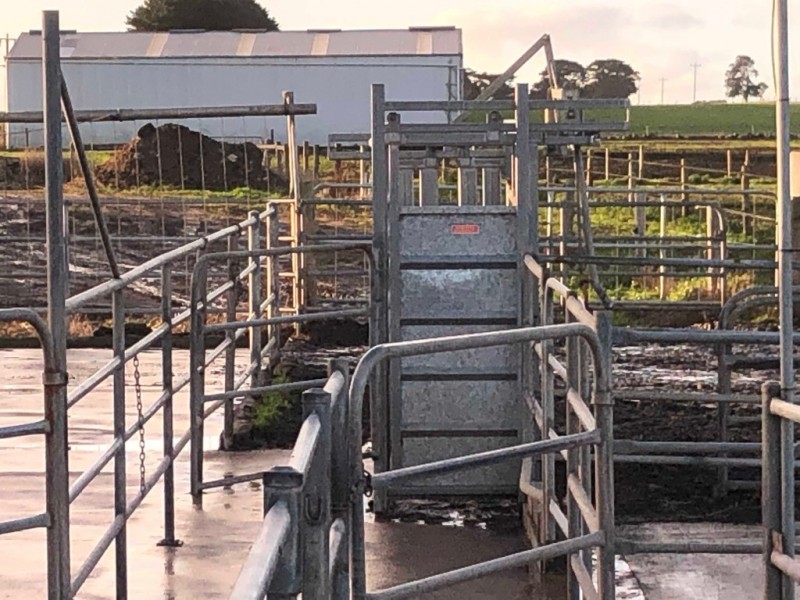 434 CONNS LANE, YANGERY, Warrnambool VIC 3280