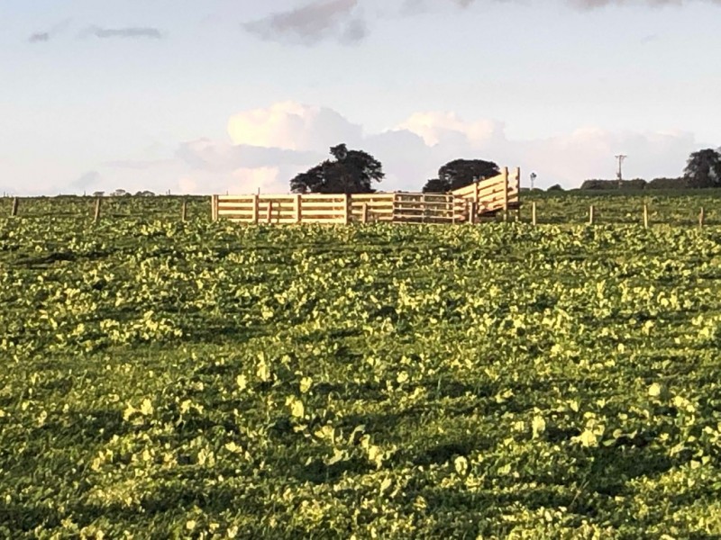 434 CONNS LANE, YANGERY, Warrnambool VIC 3280