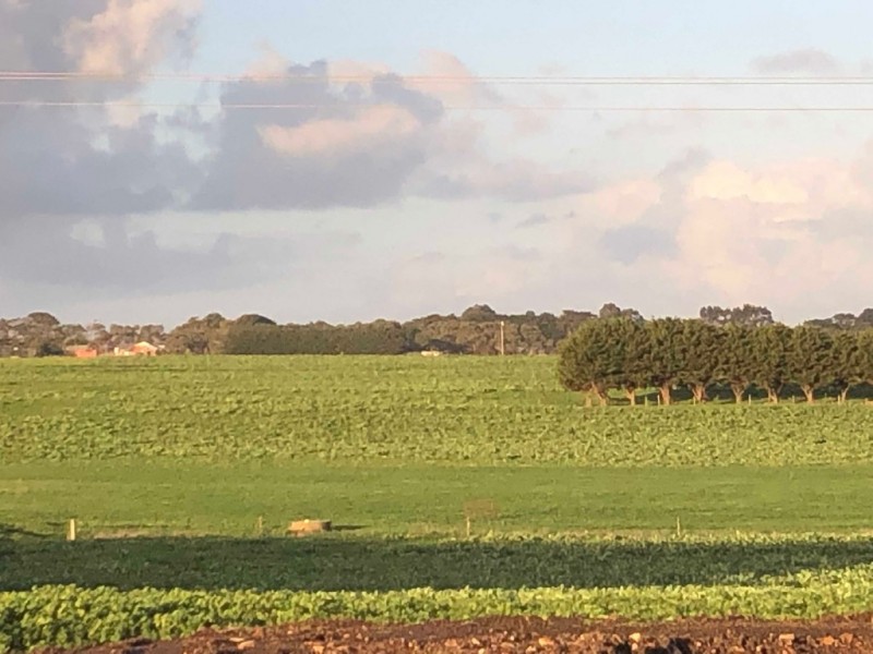 434 CONNS LANE, YANGERY, Warrnambool VIC 3280