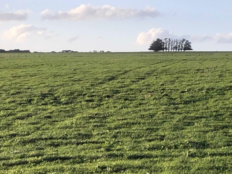 434 CONNS LANE, YANGERY, Warrnambool VIC 3280