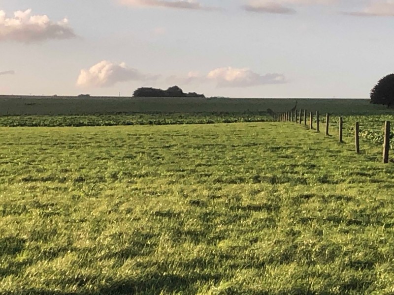 434 CONNS LANE, YANGERY, Warrnambool VIC 3280