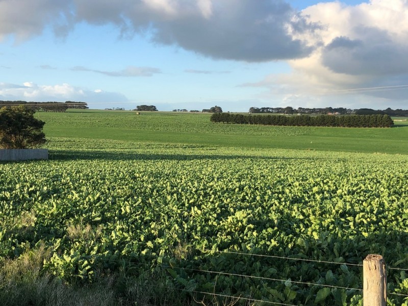 434 CONNS LANE, YANGERY, Warrnambool VIC 3280