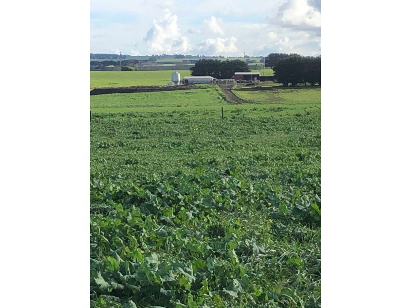 434 CONNS LANE, YANGERY, Warrnambool VIC 3280