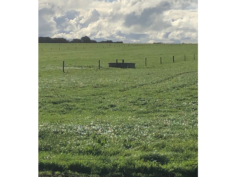 434 CONNS LANE, YANGERY, Warrnambool VIC 3280