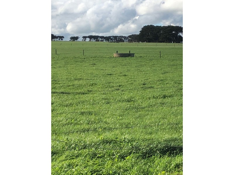 434 CONNS LANE, YANGERY, Warrnambool VIC 3280