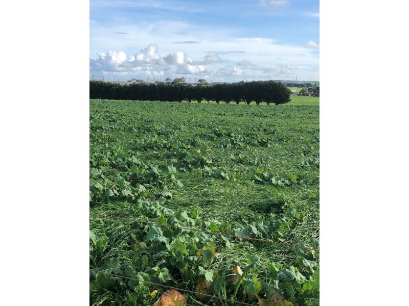 434 CONNS LANE, YANGERY, Warrnambool VIC 3280