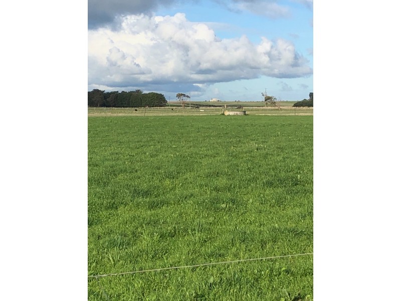 434 CONNS LANE, YANGERY, Warrnambool VIC 3280