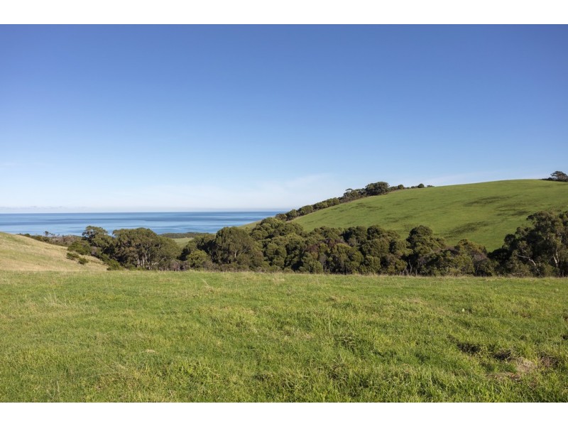 105 Stafford Road, Johanna VIC 3238