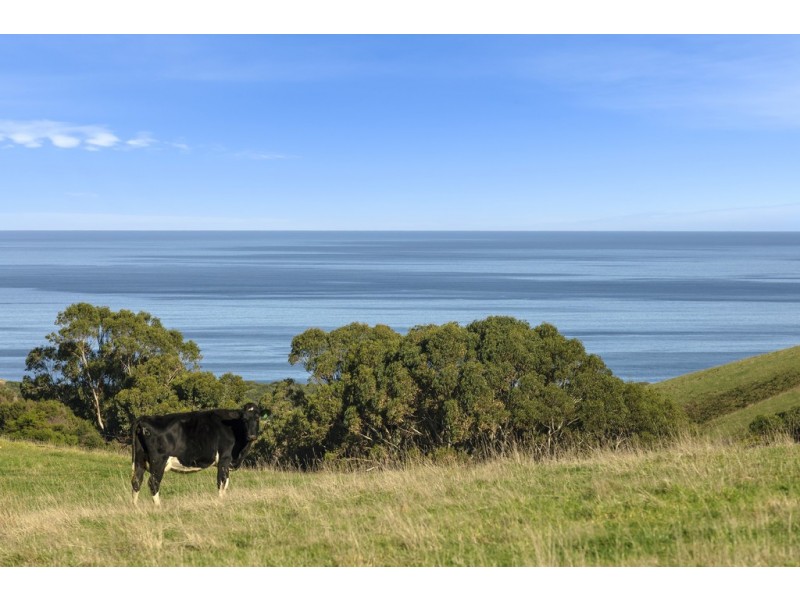 105 Stafford Road, Johanna VIC 3238