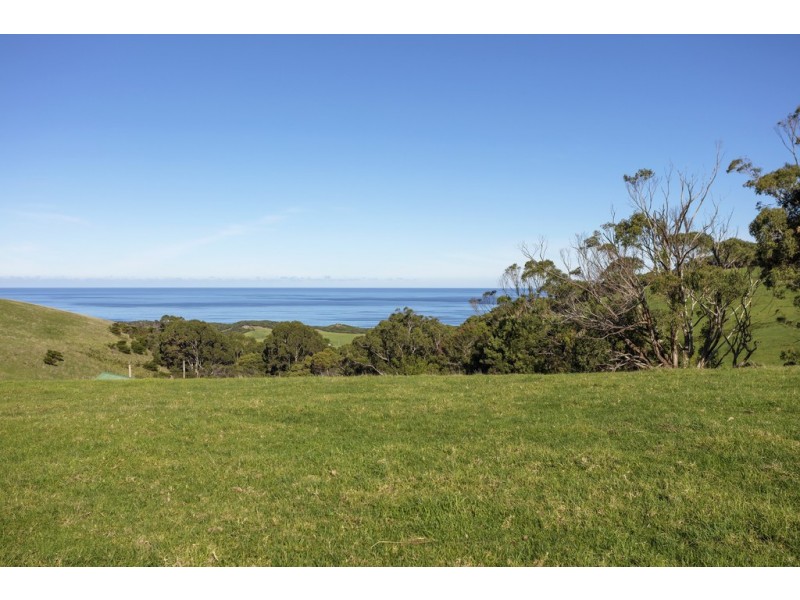 105 Stafford Road, Johanna VIC 3238