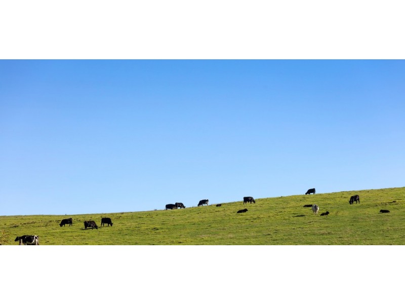 105 Stafford Road, Johanna VIC 3238