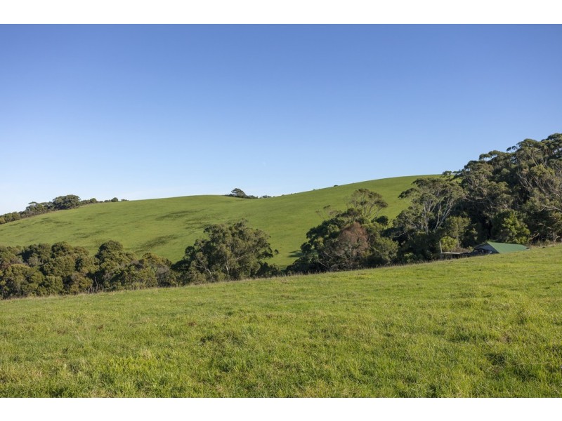 105 Stafford Road, Johanna VIC 3238