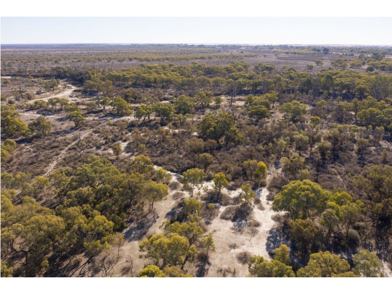 - Rufus River Road, Wentworth NSW 2648