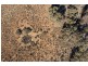 - Rufus River Road, Wentworth NSW 2648