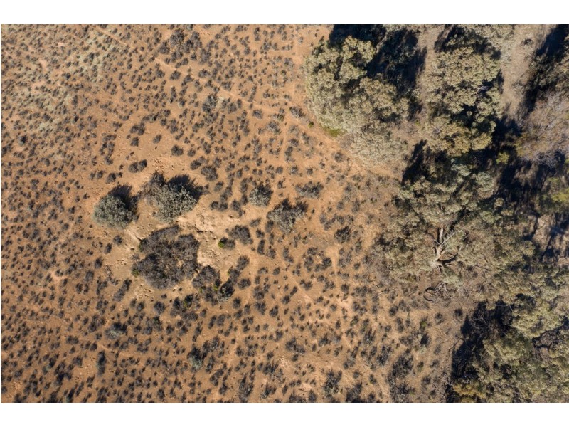 - Rufus River Road, Wentworth NSW 2648