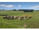 789 Bucks Road, Simpson VIC 3266