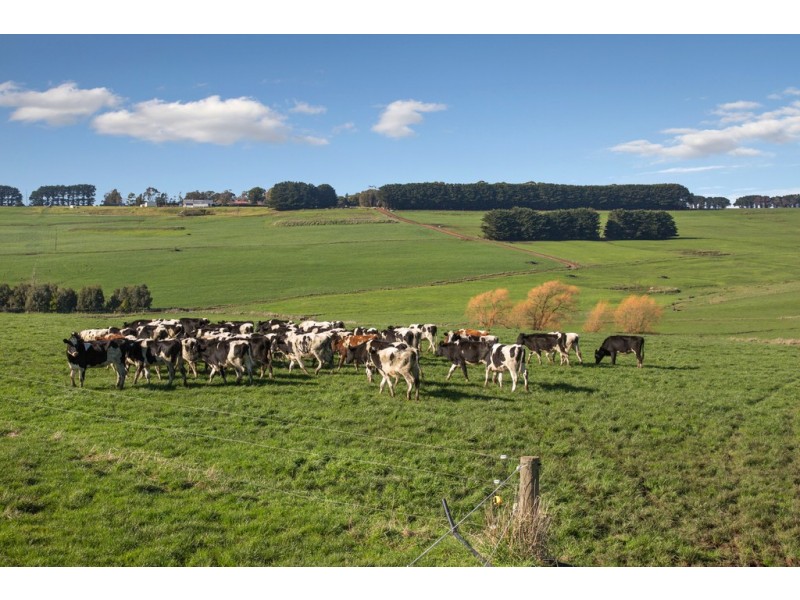 789 Bucks Road, Simpson VIC 3266