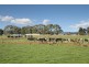 789 Bucks Road, Simpson VIC 3266