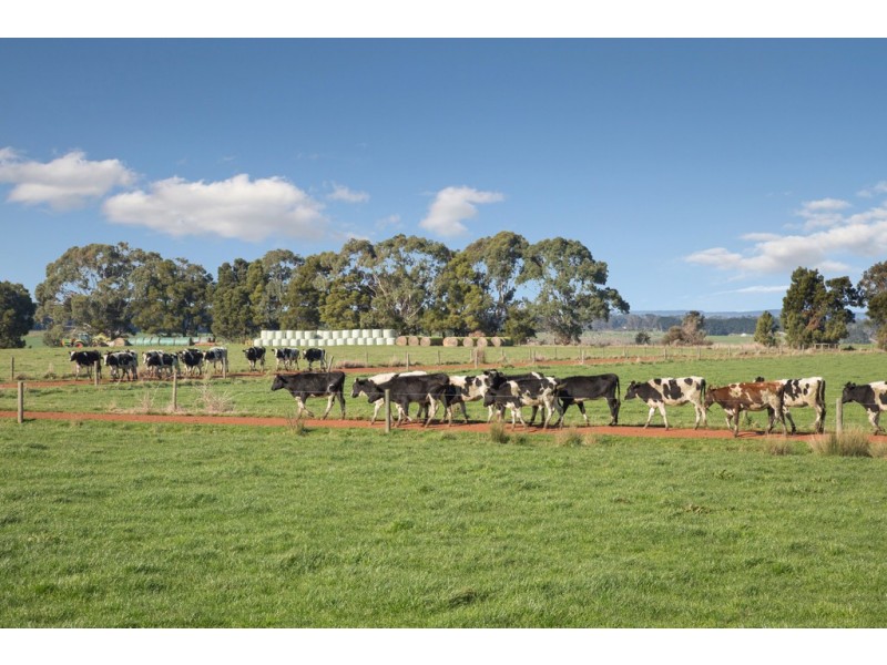 789 Bucks Road, Simpson VIC 3266