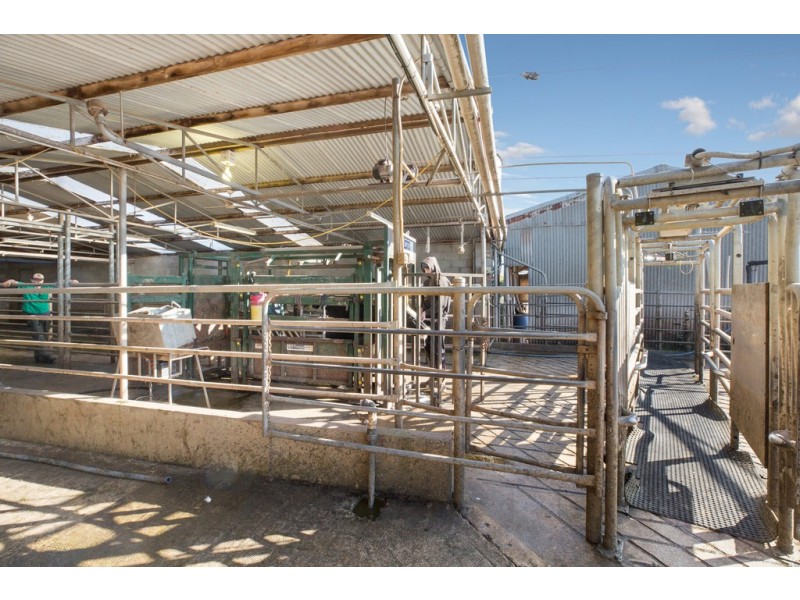 789 Bucks Road, Simpson VIC 3266