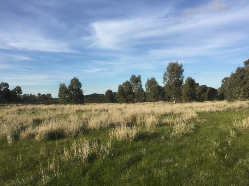 . Dunolly Road, Carapooee VIC 3477