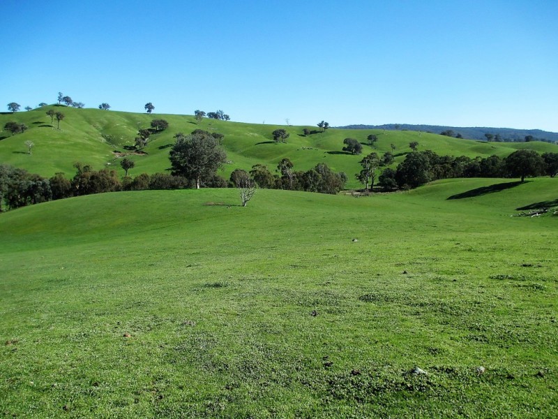 160 Frees Road, Gobur VIC 3719