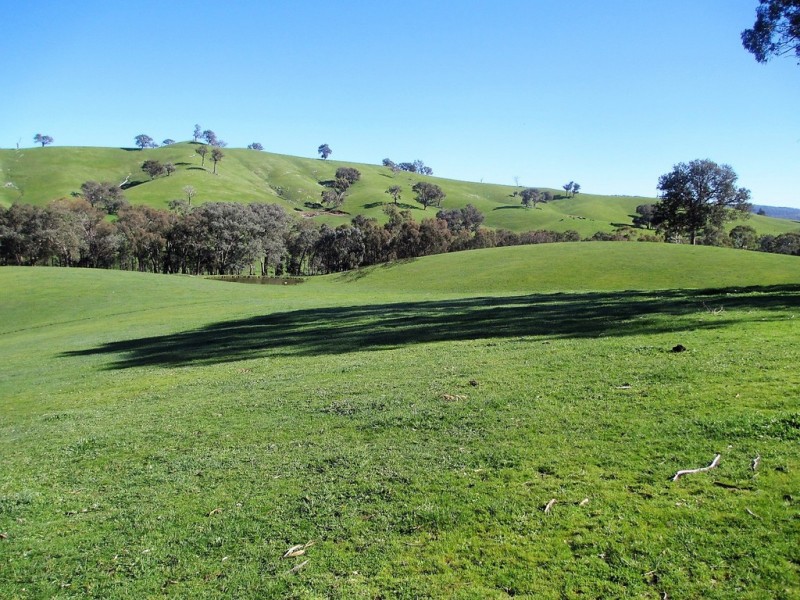 160 Frees Road, Gobur VIC 3719