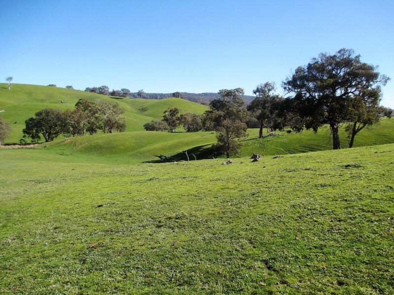 160 Frees Road, Gobur VIC 3719