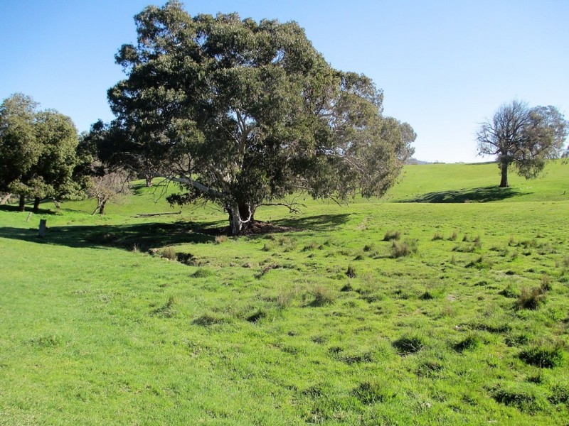 160 Frees Road, Gobur VIC 3719