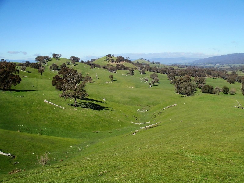 160 Frees Road, Gobur VIC 3719