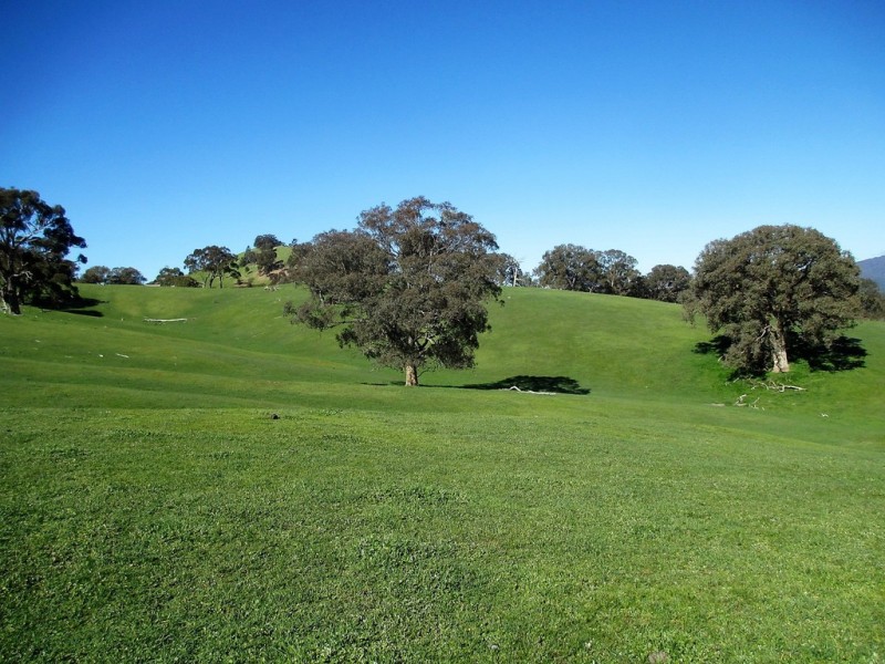 160 Frees Road, Gobur VIC 3719