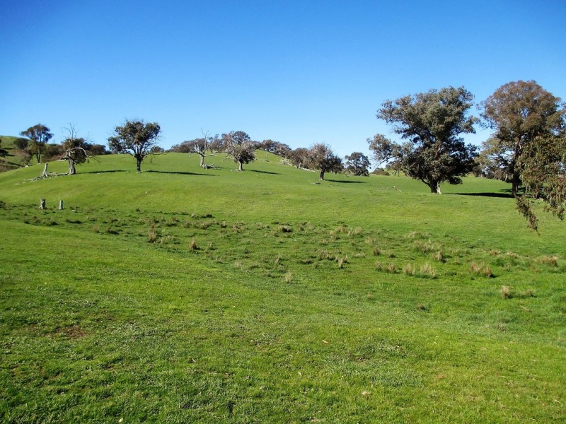 160 Frees Road, Gobur VIC 3719