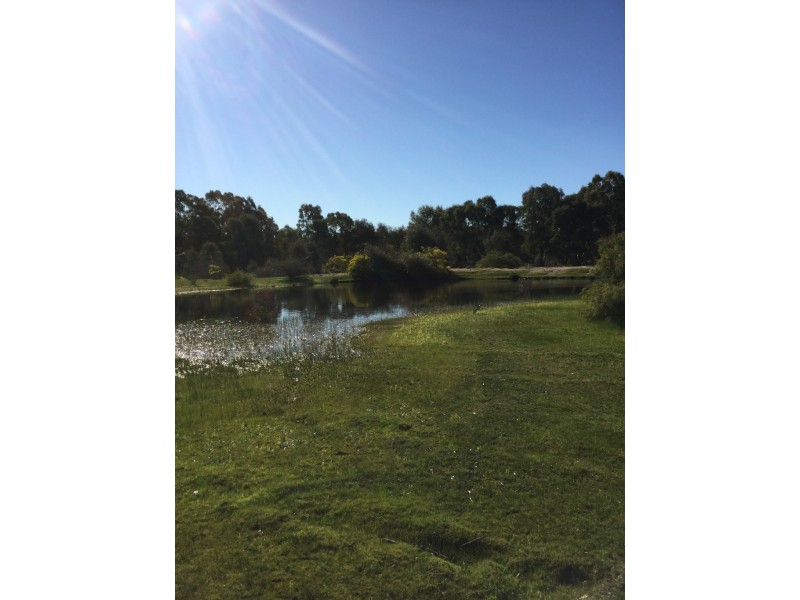 00 Shearing Shed Road, Carapooee West VIC 3477