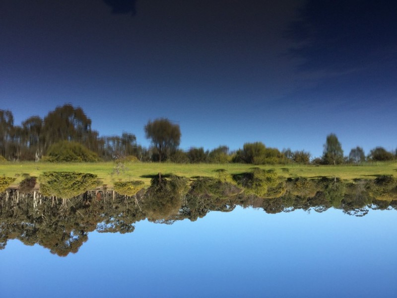 00 Shearing Shed Road, Carapooee West VIC 3477