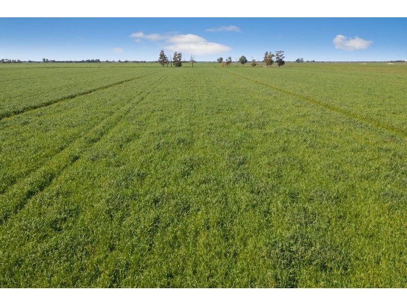 705 MCKENZIE ROAD, Echuca VIC 3564